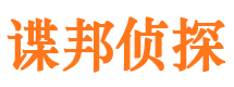 环翠市侦探公司